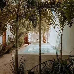 & Madre Self-check In Isola Holbox