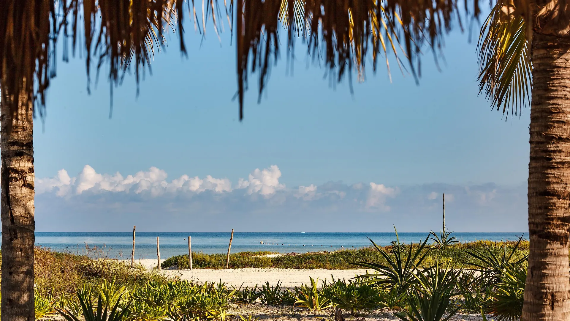 Villas Hm Paraiso Del Mar Isla Holbox